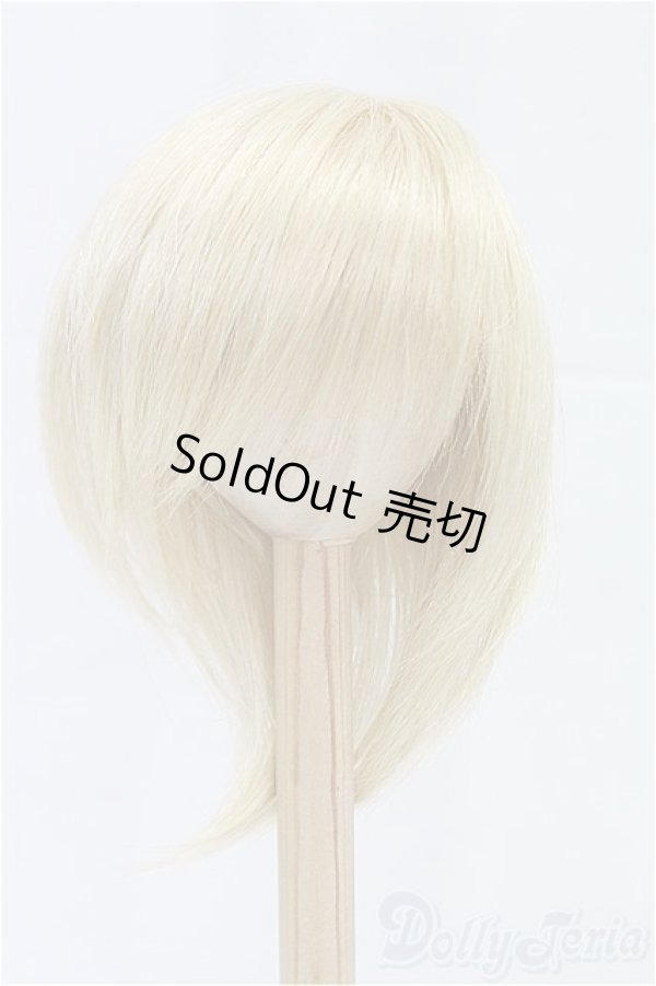 画像1: 8-9inch/ウィッグ/インチ　BJD　MJD　ドール用 I-25-11-23-190-KD-ZI (1)
