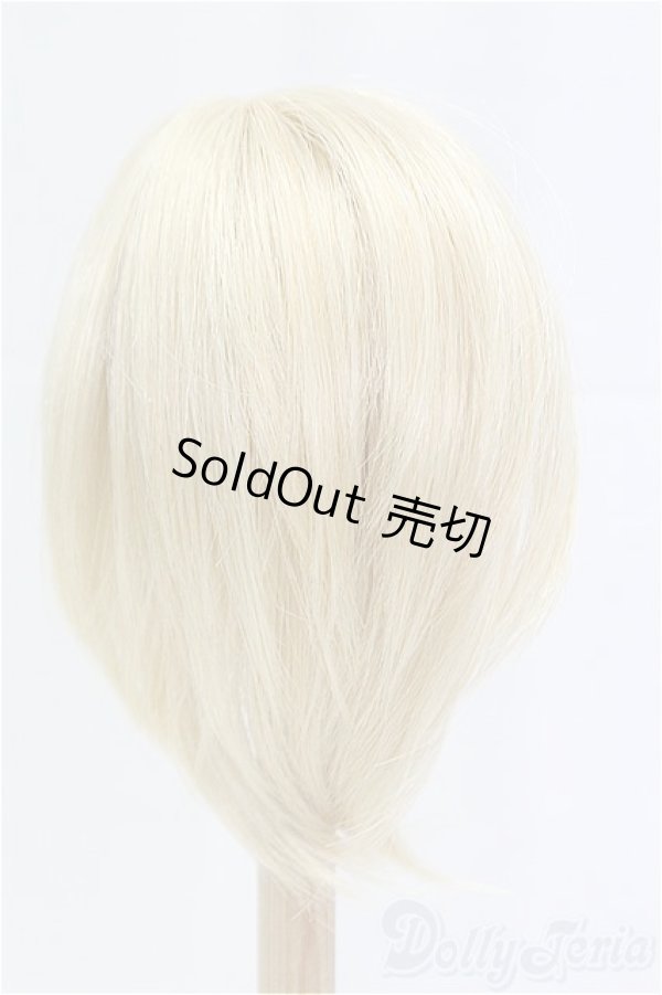 画像2: 8-9inch/ウィッグ/インチ　BJD　MJD　ドール用 I-25-11-23-190-KD-ZI (2)