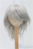 画像1: 9-10inch/ウィッグ/インチ　BJD　MJD　ドール用 I-25-11-23-193-KD-ZI (1)