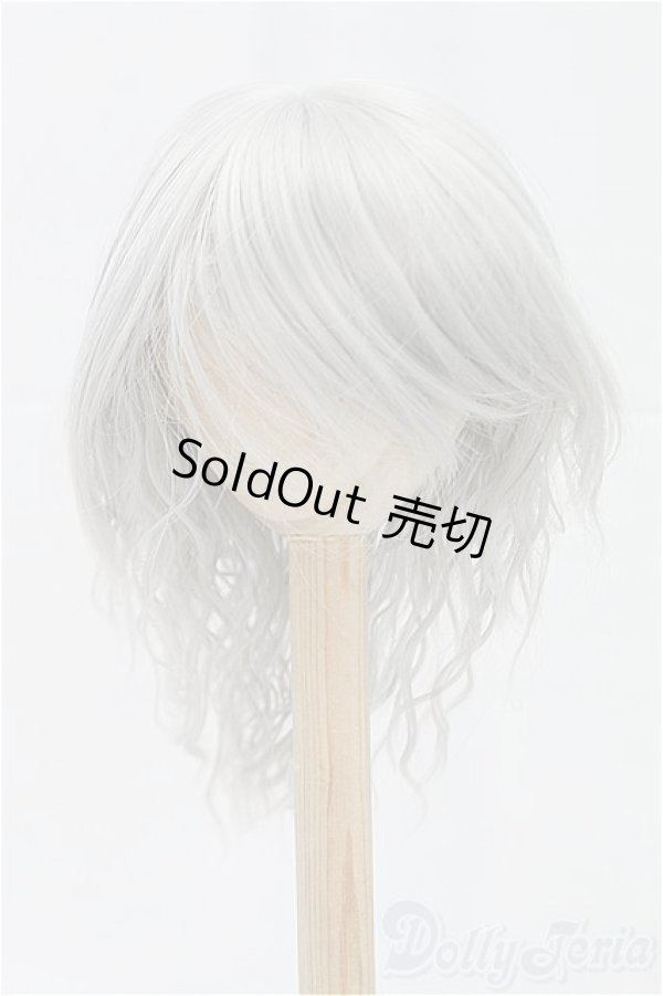 画像1: 9-10inch/ウィッグ/インチ　BJD　MJD　ドール用 I-25-11-23-193-KD-ZI (1)