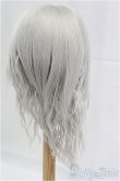 画像2: 9-10inch/ウィッグ/インチ　BJD　MJD　ドール用 I-25-11-23-193-KD-ZI (2)