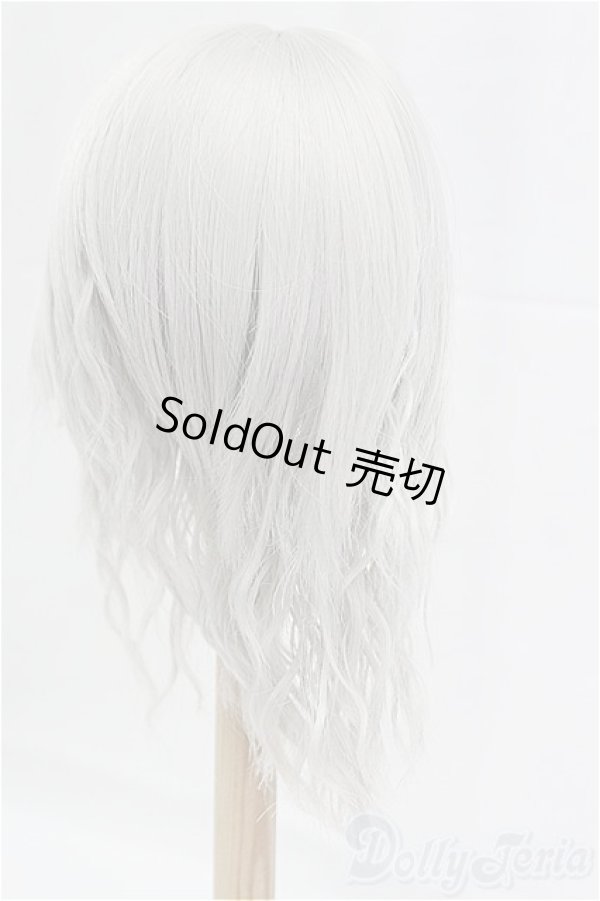 画像2: 9-10inch/ウィッグ/インチ　BJD　MJD　ドール用 I-25-11-23-193-KD-ZI (2)