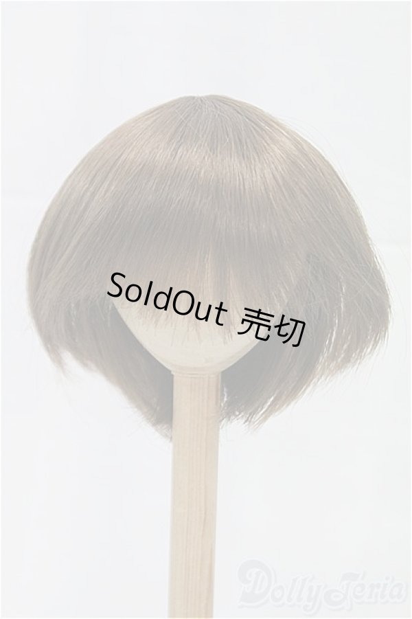 画像1: 9-10inch/ウィッグ/インチ　BJD　MJD　ドール用 I-25-11-23-199-KD-ZI (1)