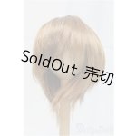 画像: 8-9inch/ウィッグ/インチ BJD MJD ドール用 I-25-11-23-200-KD-ZI