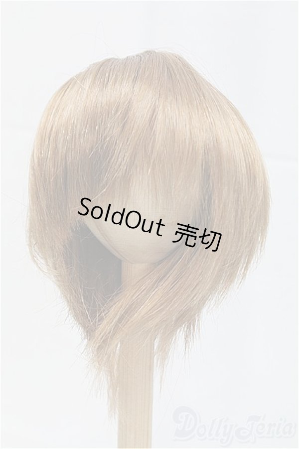 画像1: 8-9inch/ウィッグ/インチ　BJD　MJD　ドール用 I-25-11-23-200-KD-ZI (1)