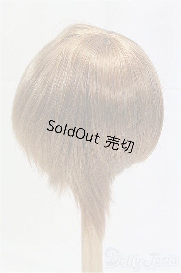 画像2: 8-9inch/ウィッグ/インチ　BJD　MJD　ドール用 I-25-11-23-200-KD-ZI (2)