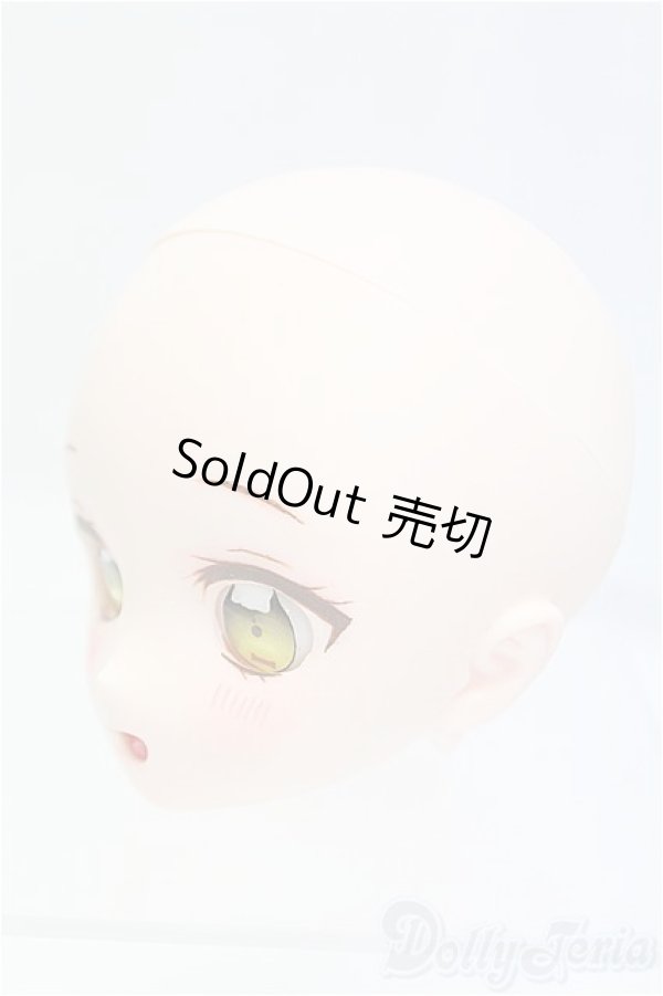 画像2: DD/DDH-28:カスタムメイクヘッド/BJD　球体関節人形 I-25-11-23-163-KD-ZI (2)