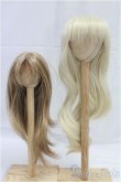 画像1: 9-10inch/ウィッグ/インチ　BJD　MJD　ドール用 I-25-11-23-181-KD-ZI (1)