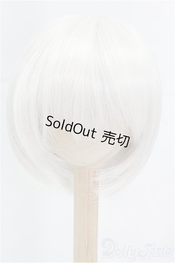 画像1: 8-9inch/ウィッグ/インチ　BJD　MJD　ドール用 I-25-11-23-183-KD-ZI (1)