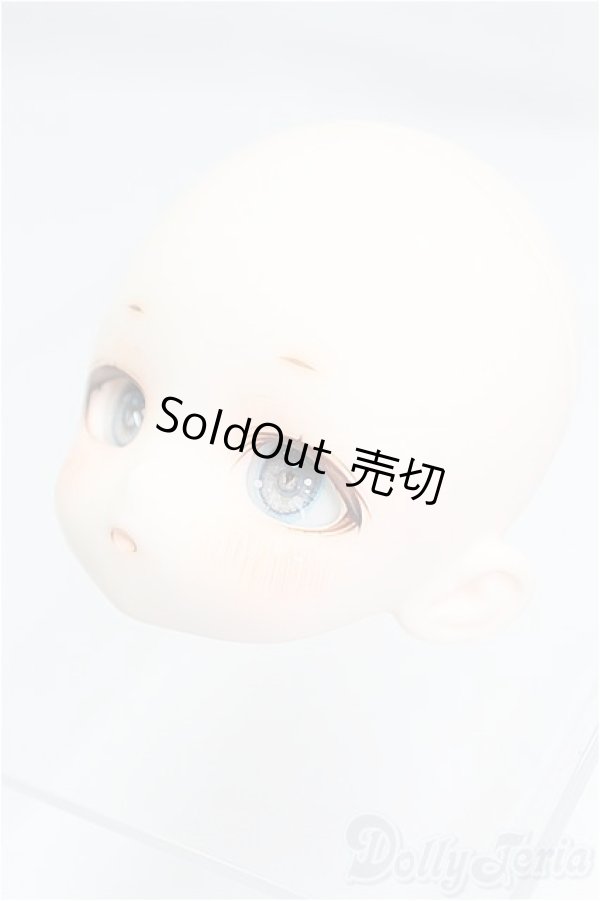 画像2: TinyFox/1/6/X-02カスタムヘッド I-25-11-23-210-KD-ZI (2)