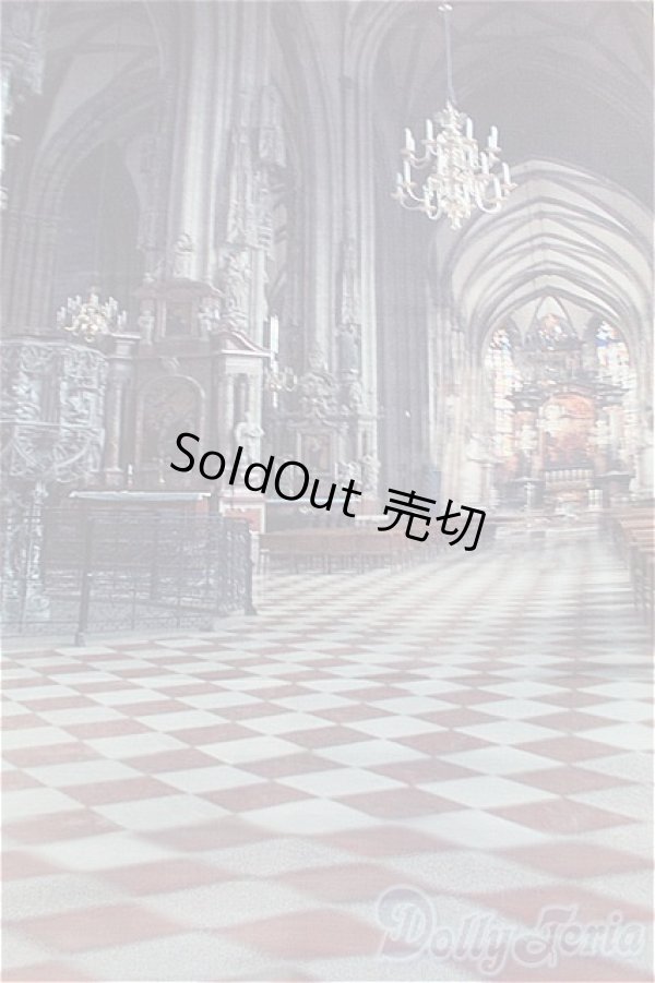 画像3: SD/背景布 I-25-11-23-300-KD-ZI (3)