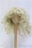 画像1: 9-10inch/モヘアウィッグ/インチ　BJD　MJD　ドール用 I-25-11-30-155-KD-ZI (1)
