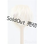 画像: 9inch/ウィッグ/インチ BJD MJD ドール用 I-25-11-30-150-KD-ZI
