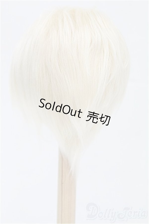 画像2: 9inch/ウィッグ/インチ　BJD　MJD　ドール用 I-25-11-30-150-KD-ZI (2)