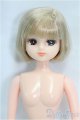 画像: リカちゃんキャッスル/リカちゃん本体/BJD　球体関節人形 I-25-11-30-171-KD-ZI