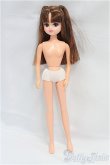 画像4: リカちゃんキャッスル/リカちゃん本体/BJD　球体関節人形 I-25-11-30-172-KD-ZI (4)