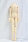 画像2: SD17BOY/ボディ/BJD　球体関節人形 I-25-11-30-290-KD-ZI (2)