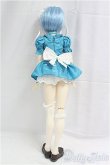 画像5: DD/綾波レイ（メイドドレスVer.）/BJD　球体関節人形 I-25-11-30-300-KD-ZI (5)