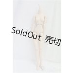 画像: DD/ベースボディII/BJD 球体関節人形 I-25-11-30-248-KD-ZI