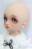 画像3: SDM女の子/コーディネートモデルF-60/BJD　球体関節人形 I-25-11-30-295-KD-ZI (3)