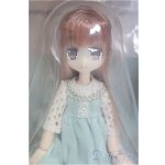 画像: azone/リルフェアリー/きぼうのほとり ネイリー I-25-12-07-006-YB-ZI