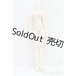 画像: DDS/ベースボディ(DD-f3) I-25-12-07-001-YB-ZI