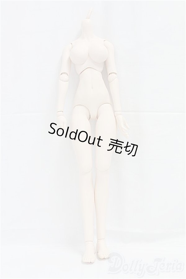 画像1: DDS/ベースボディ(DD-f3) I-25-12-07-001-YB-ZI (1)