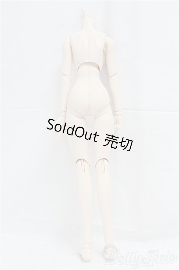 画像2: DDS/ベースボディ(DD-f3) I-25-12-07-001-YB-ZI (2)