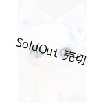 画像: DOLK x DEARMINE/PICASSO Bean Blue Rose I-25-12-07-003-YB-ZI