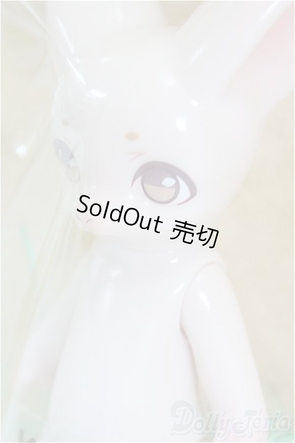 画像2: ケモリア/ロミロン ペールピンク I-25-12-07-104-KD-ZI (2)