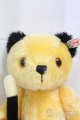 画像: Steiff(シュタイフ)/SOOTY　スーティーベア/0 I-25-12-14-155-KD-ZI
