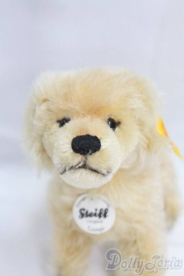 画像1: Steiff(シュタイフ)/Lumpi/0 I-25-12-14-157-KD-ZI (1)