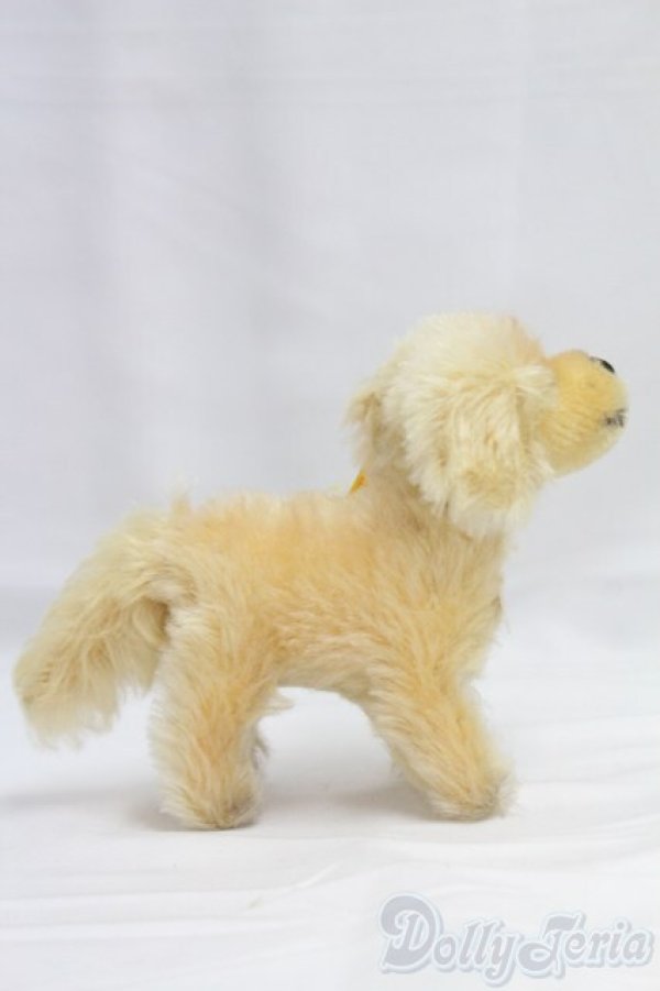 画像3: Steiff(シュタイフ)/Lumpi/0 I-25-12-14-157-KD-ZI (3)