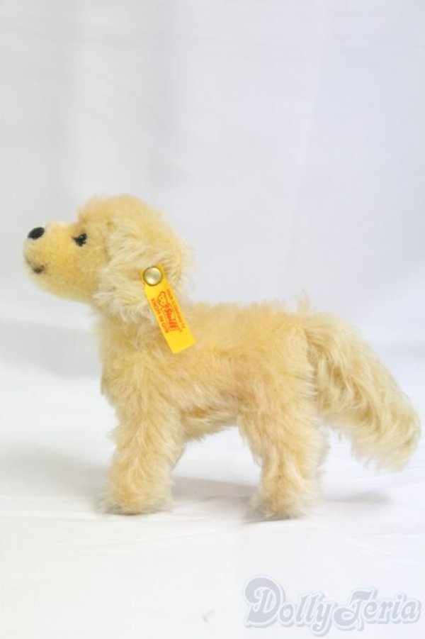 画像4: Steiff(シュタイフ)/Lumpi/0 I-25-12-14-157-KD-ZI (4)