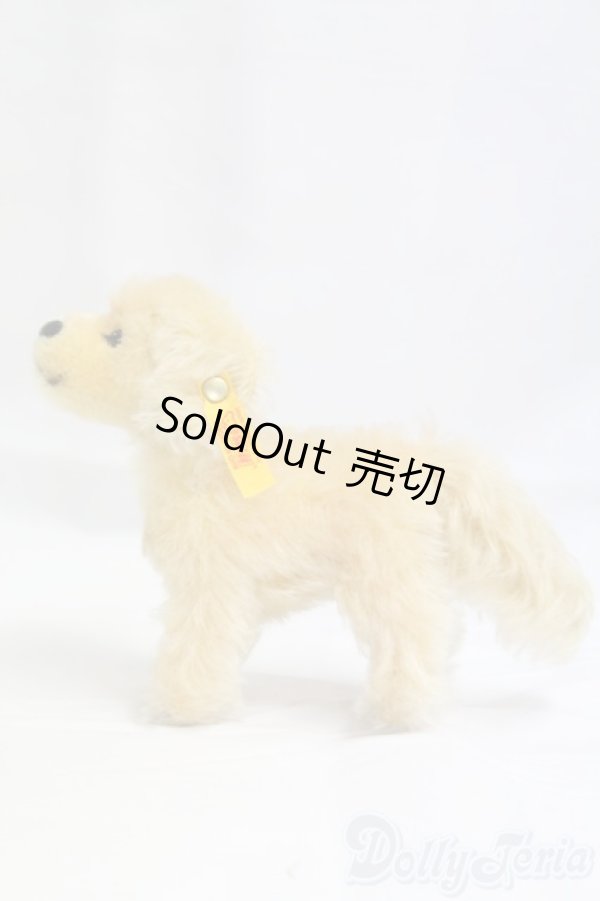 画像4: Steiff(シュタイフ)/Lumpi/0 I-25-12-14-157-KD-ZI (4)