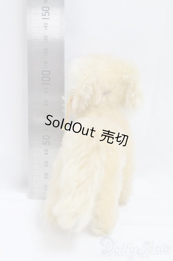 画像5: Steiff(シュタイフ)/Lumpi/0 I-25-12-14-157-KD-ZI (5)