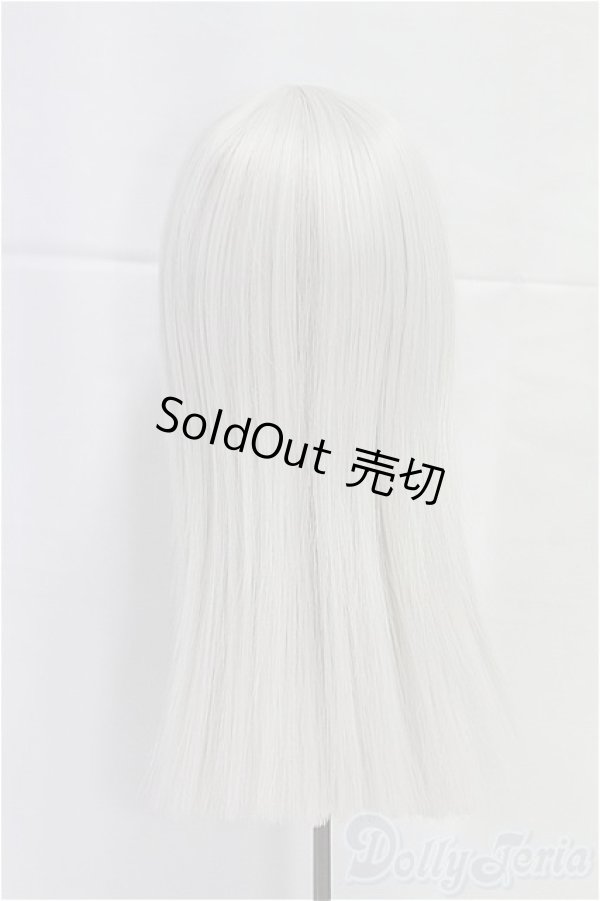 画像2: 8-9inch/ウィッグ I-25-12-07-192-KD-ZI (2)