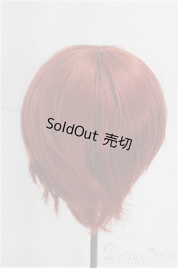 画像2: 8-9inch/ウィッグ I-25-12-07-187-KD-ZI (2)