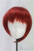 画像1: 8-9inch/ウィッグ I-25-12-07-186-KD-ZI (1)