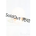 画像: tinyfox1/6サイズ/カスタムヘッド(HS-01)  I-25-12-07-252-KD-ZI