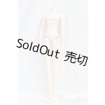 画像: 灰羽人形/1/3/男性ボディ I-25-12-14-101-KD-ZI