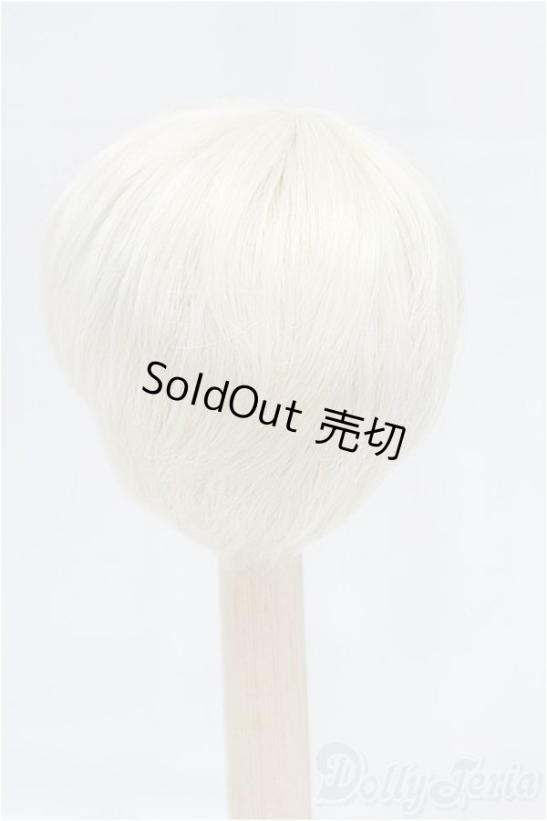 画像2: 7-8inch/ウィッグ I-25-12-14-040-KD-ZI (2)