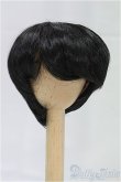 画像1: 7-8inch/ウィッグ I-25-12-14-037-KD-ZI (1)