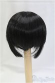 画像2: 6inch/ウィッグ I-25-12-14-100-KD-ZI (2)