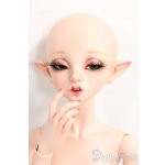 画像: Peaks Woods/FOC Elf Bliss_Dark Elves I-25-12-14-254-KD-ZI