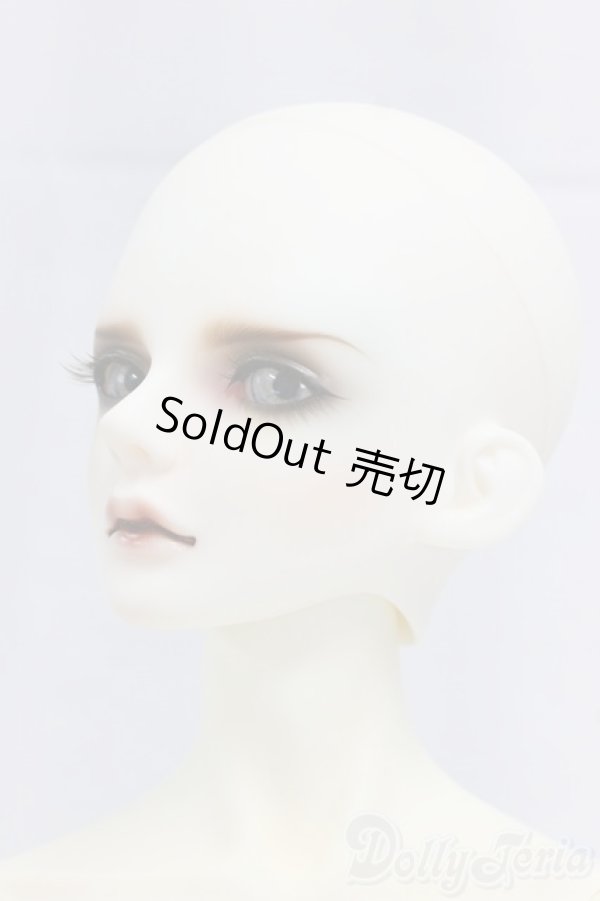 画像3: LUTS/Senior65 Delf DIEZ Limited I-25-12-14-255-KD-ZI (3)