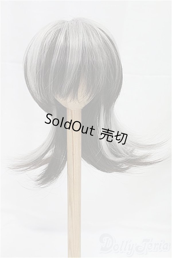 画像1: 8.5-9inch/ウィッグ I-25-12-14-046-KD-ZI (1)