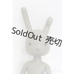 画像: うさぎぃ/029 I-25-12-14-142-KD-ZI