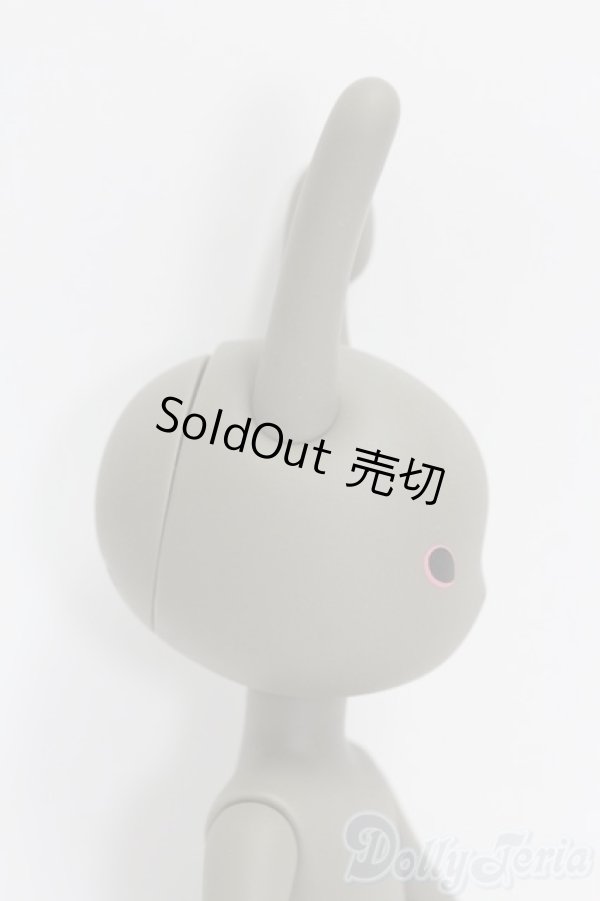 画像2: うさぎぃ/029 I-25-12-14-142-KD-ZI (2)