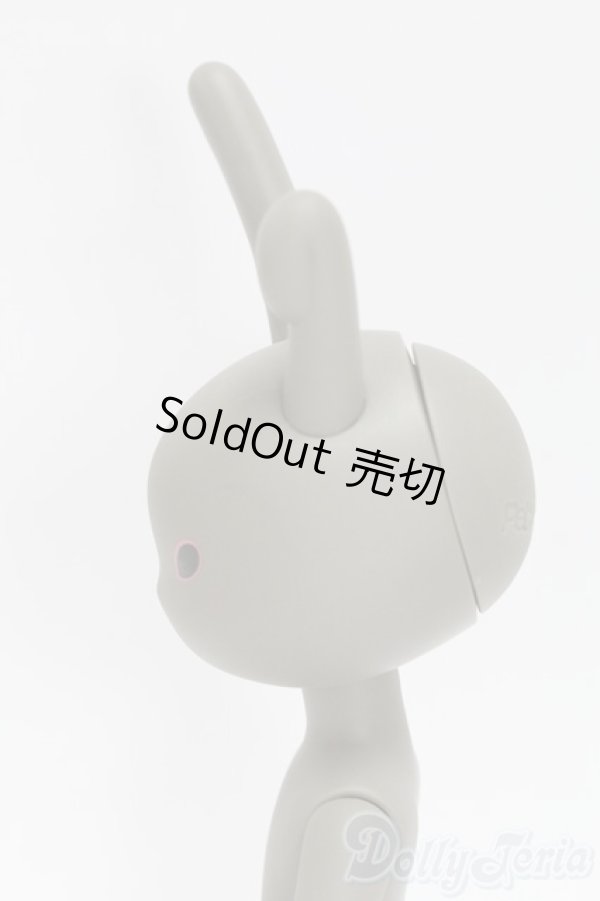 画像3: うさぎぃ/029 I-25-12-14-142-KD-ZI (3)